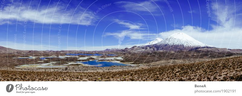 Panorama mit Laguna Cotacotani und Vulkan Parinacota in Chile Natur groß Unendlichkeit natürlich wild exotisch Ferien & Urlaub & Reisen Umwelt Umweltschutz