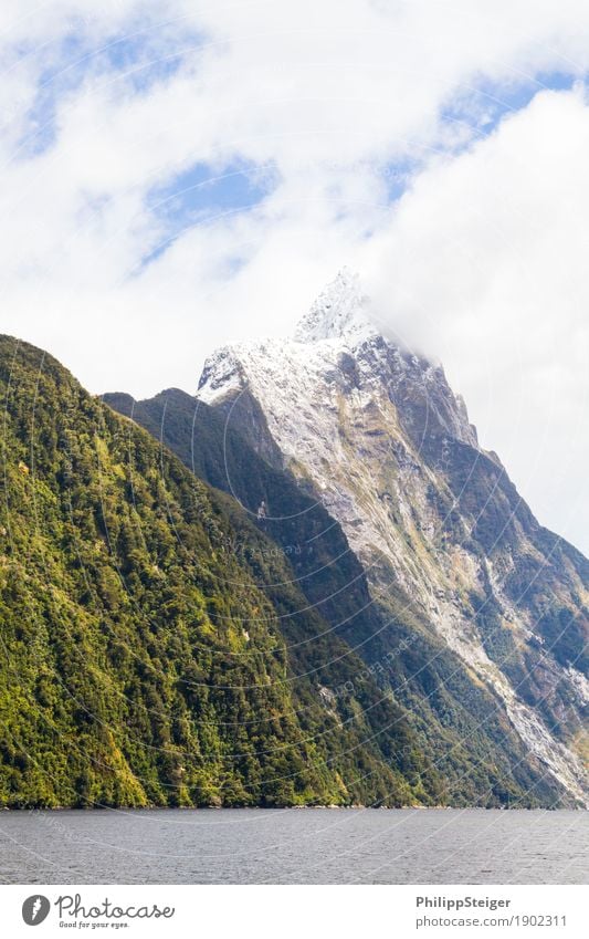 Über den Wolken Natur Landschaft Pflanze Urelemente Luft Wasser Himmel Wetter Baum Sträucher Grünpflanze Wildpflanze Küste Seeufer Fjord Meer Milford Sound