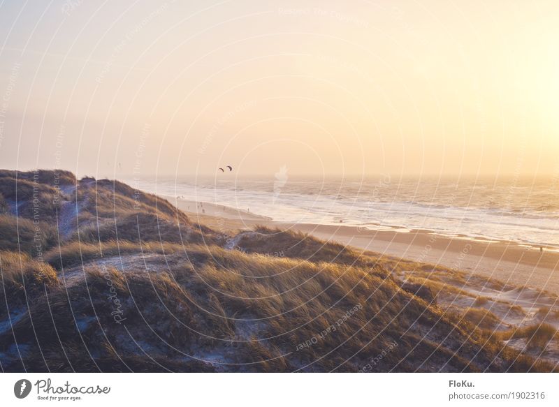 Warmer Abend am Meer Ferien & Urlaub & Reisen Tourismus Ausflug Ferne Freiheit Sommerurlaub Sonnenbad Strand Wellen Landschaft Urelemente Sand Wasser Himmel