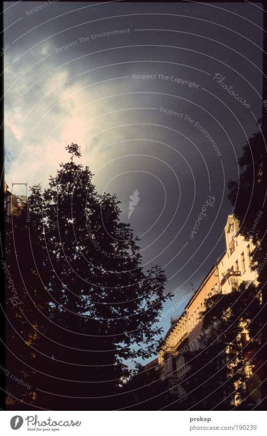 Himmel über Kreuzberg Natur Urelemente Wolken Gewitterwolken Sommer Wetter schlechtes Wetter Unwetter Wind Sturm Haus Gebäude Angst gefährlich Respekt Desaster