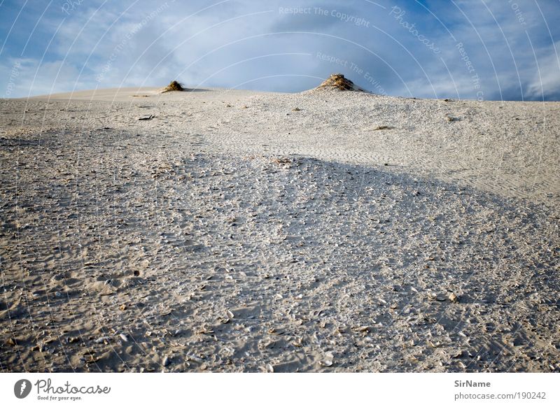 118 [z.weit] Ferien & Urlaub & Reisen Ferne Freiheit Sommer Sommerurlaub Sonne Strand Umwelt Natur Landschaft Sand Klimawandel Hügel Gipfel Seeufer Wüste