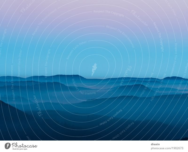 träumen 2 Umwelt Natur Landschaft Wolken Sonnenaufgang Sonnenuntergang Wetter Nebel Berge u. Gebirge Pfälzerwald Gipfel Mittelgebirge Unendlichkeit Gelassenheit