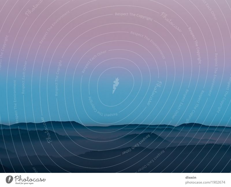 träumen 1 Umwelt Natur Landschaft Wolken Sonnenaufgang Sonnenuntergang Wetter Berge u. Gebirge Pfälzerwald Gipfel Mittelgebirge Gelassenheit ruhig Fernweh