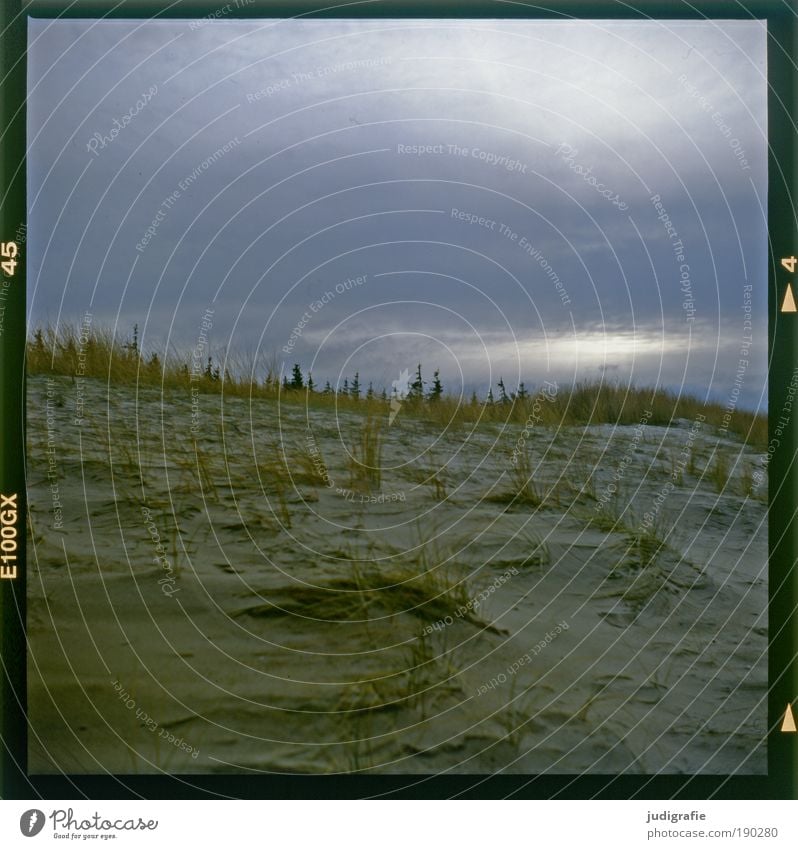 Abschied Umwelt Natur Landschaft Pflanze Himmel Klima Gras Küste Strand Ostsee natürlich Stimmung Einsamkeit Erwartung Idylle Traurigkeit Wandel & Veränderung