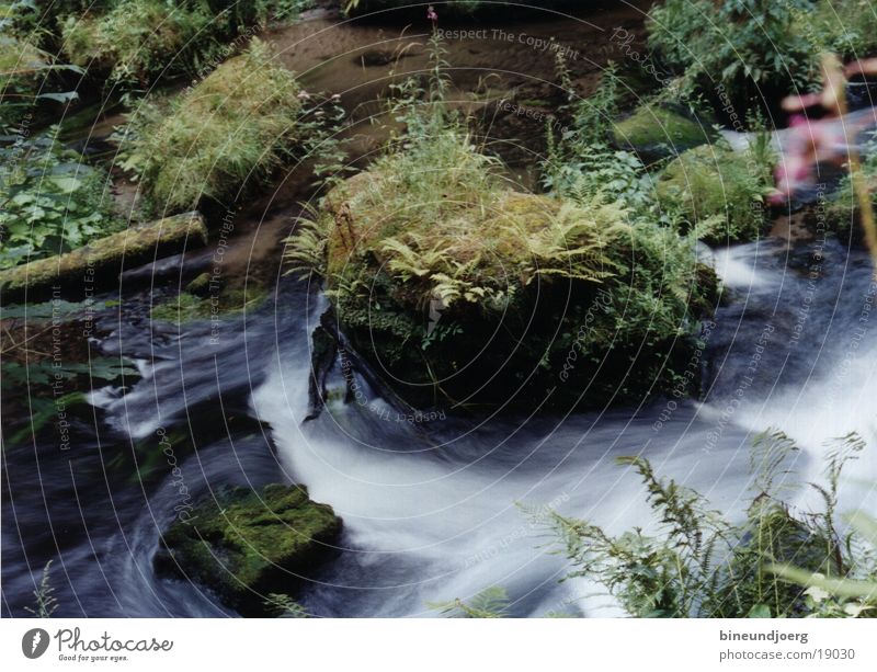 Wildbach Bach Strömung Langzeitbelichtung Berge u. Gebirge Wasser