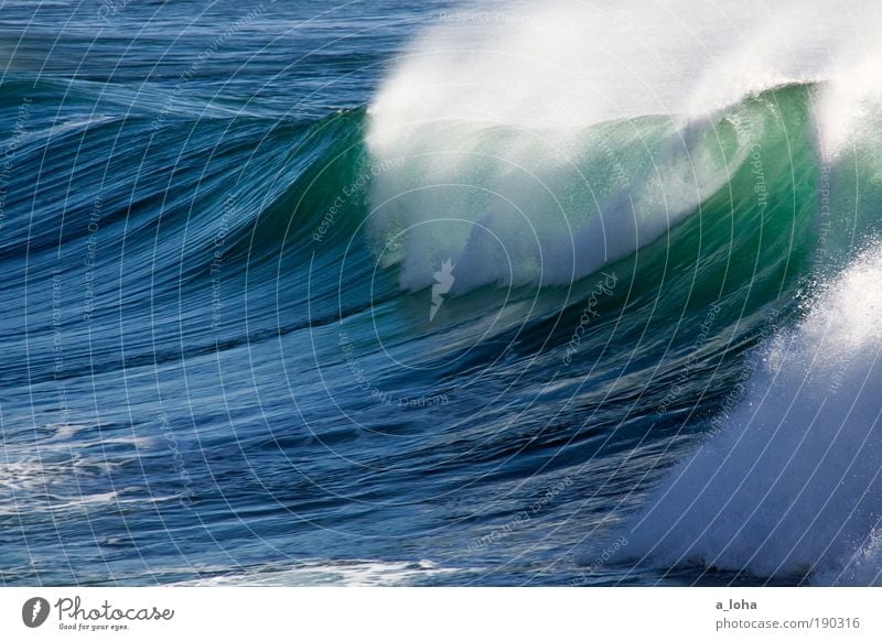 the wave Natur Urelemente Wasser Schönes Wetter Wellen Küste Meer Tropfen Bewegung Flüssigkeit gigantisch groß nass schön blau grün Kraft Sehnsucht Fernweh