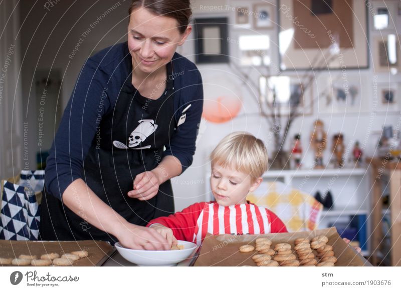 gemeinsames Plätzchen Backen in der Familie Teigwaren Backwaren Plätzchen ausstechen Plätzchenteig Ernährung Freizeit & Hobby Häusliches Leben Wohnung Mensch