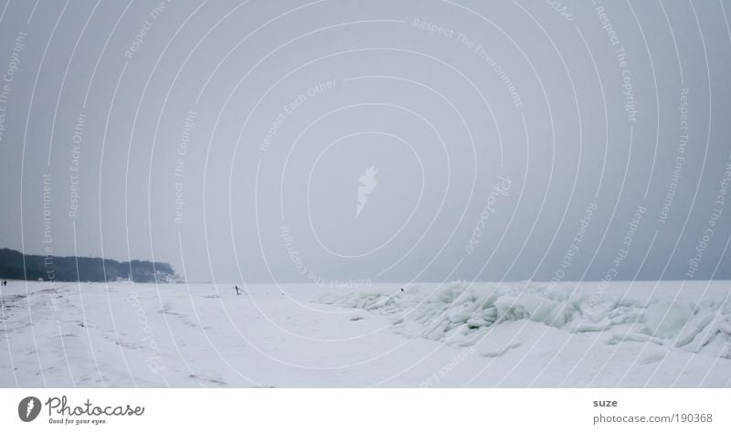 Küstennebel Meer Insel Schnee Umwelt Natur Landschaft Urelemente Luft Himmel Wolkenloser Himmel Horizont Winter Klima schlechtes Wetter Sturm Nebel Eis Frost