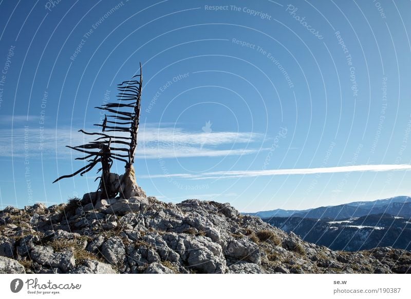 Über allen Gipfeln Tourismus Berge u. Gebirge Wolkenloser Himmel Herbst Baum Alpen Erholung Wachstum Unendlichkeit einzigartig blau grau Freude Zufriedenheit