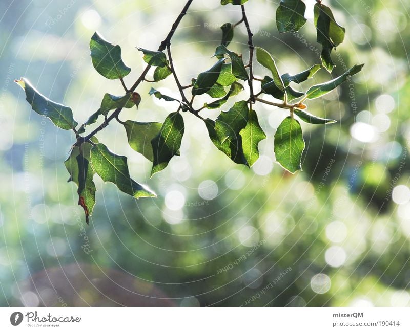 when the earth awakes. Natur ästhetisch Erholung Erholungsgebiet natürlich ökologisch hell hellgrün Leben schön Naturschutzgebiet aufwachen Lichtspiel Ast Zweig