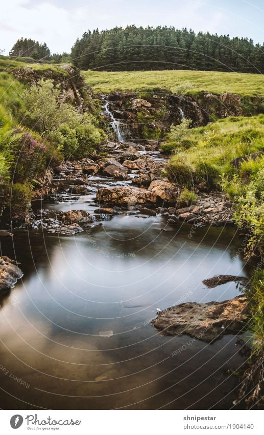 Fairy Pools, Isle of Skye Whiskey Ferien & Urlaub & Reisen Tourismus Ausflug Abenteuer Expedition Sommerurlaub Berge u. Gebirge wandern Natur Landschaft Pflanze