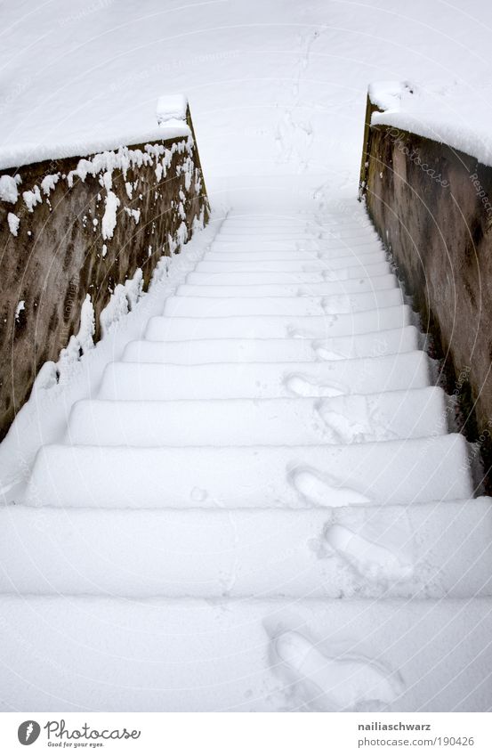 Schneetreppe Umwelt Natur Winter Klima Wetter Park Menschenleer Bauwerk Architektur Treppe Verkehrswege Fußgänger Wege & Pfade alt kalt Sauberkeit braun silber