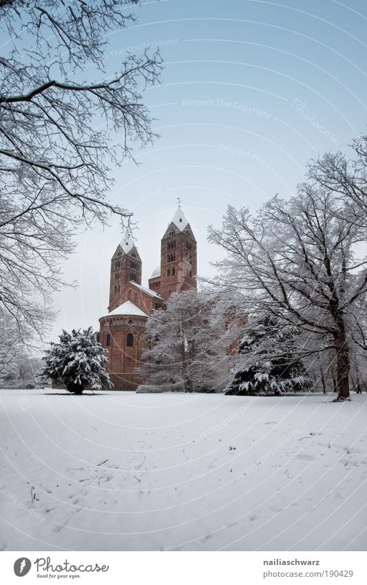 Winterdom Sightseeing Städtereise Schnee Umwelt Natur Landschaft Eis Frost Park Speyer Deutschland Europa Altstadt Menschenleer Kirche Dom Platz Bauwerk