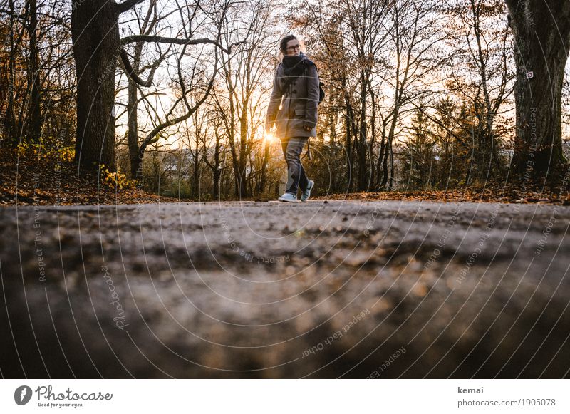 Sundownwalk Lifestyle Freizeit & Hobby Ausflug Freiheit Mensch feminin Erwachsene Leben 1 30-45 Jahre Umwelt Landschaft Herbst Schönes Wetter Baum Straße