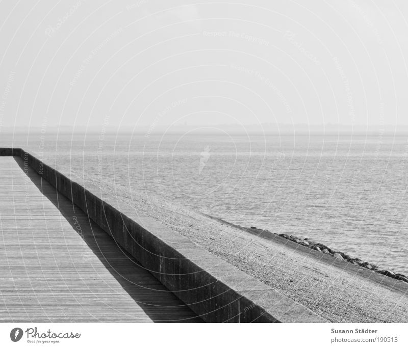 Værftsvej Umwelt Natur Schönes Wetter Hügel Wellen Küste Strand Bucht Nordsee Meer Insel Hafen Brücke genießen ruhig Einsamkeit Holzfußboden Begrenzung Mauer