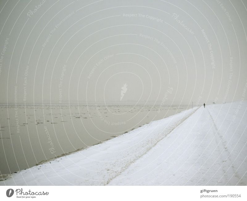 winter am meer Strand Meer Winter Schnee Winterurlaub Mensch 1 Umwelt Natur Landschaft Wasser Himmel Eis Frost Küste Nordsee gehen dunkel kalt Spaziergang