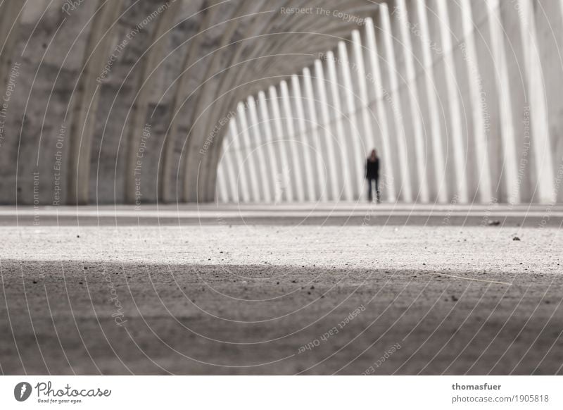 aus dem Blick verloren Sonne Mensch feminin Frau Erwachsene Körper 1 Schönes Wetter Hafen Tunnel Bauwerk Gebäude Architektur Mole Anlegestelle Buhne Beton gehen