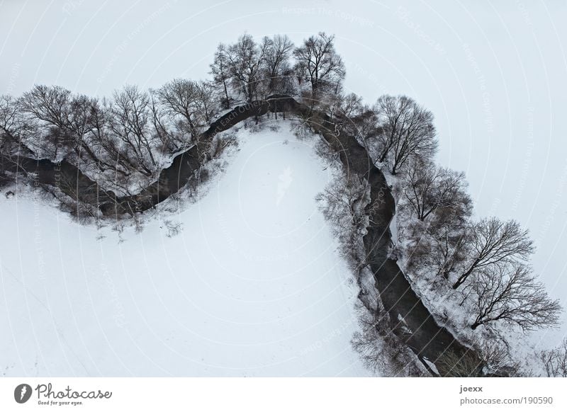 Umweltbilanz Natur Landschaft Erde Wasser Winter Schnee Baum Sträucher Flüssigkeit kalt oben unten Bach biegen Vogelperspektive ruhig Freiheit kahl Baumkrone