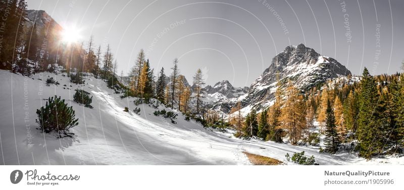 outside - tyrol - austria Ferien & Urlaub & Reisen Winter wandern Natur Wolkenloser Himmel Sonne Sonnenaufgang Sonnenuntergang Sonnenlicht Berge u. Gebirge