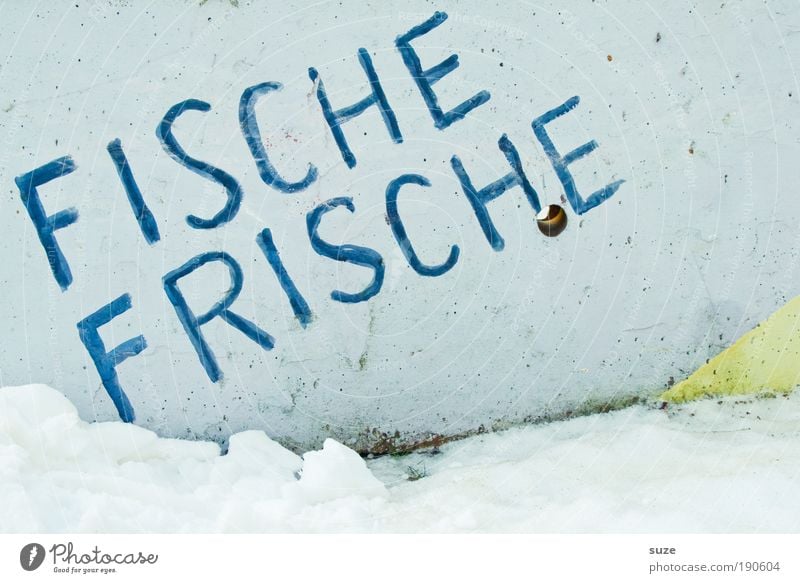 Frischer Fitze frischt ... Fisch Mittagessen Freude Gesundheit Schnee Nordsee Mauer Wand Fassade Beton Zeichen Schriftzeichen Schilder & Markierungen