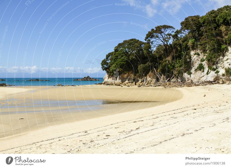 Strand in Neuseeland Umwelt Natur Sand Himmel Klima Schönes Wetter Küste Bucht Meer wandern Baum Ebbe Niedrigwasser Reisefotografie Insel Pause Erholung ruhig