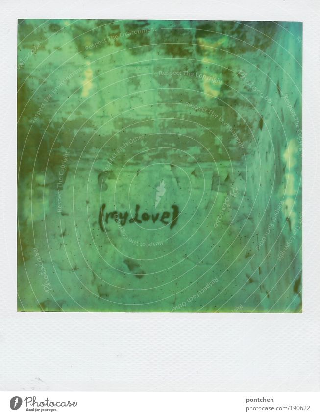 Polaroid zeigt Raum. Putz bröckelt von den Wänden. An einer Wand steht Max Love. Romantik, Verfall. Lost place Jugendkultur Subkultur Haus Ruine Bauwerk Gebäude