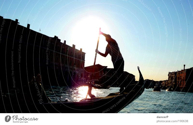 Der Gondlier maskulin Mann Erwachsene Arme 1 Mensch Kultur Wasser Wolkenloser Himmel Küste Bucht Insel Venedig Bach Fluss Dorf Kleinstadt Stadt Hauptstadt