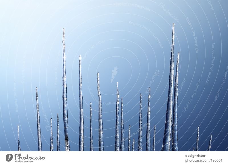 Eis-Piek Wasser Wolkenloser Himmel Winter Wetter Schönes Wetter Frost Skyline Kamm kalt Reinlichkeit Sauberkeit Reinheit Eiszapfen Spitze hart tauen Farbfoto