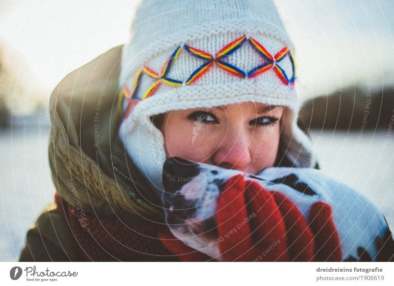 Bedingungslose Liebe. Lifestyle feminin Frau Erwachsene Winter Schönes Wetter Tier Haustier Hund berühren Kommunizieren Küssen Umarmen Freundlichkeit