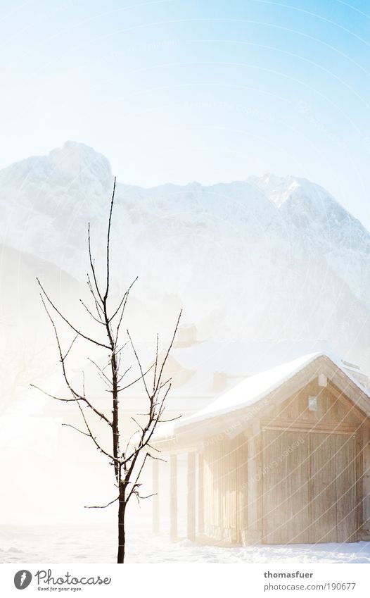 Irgendwann... Ferien & Urlaub & Reisen Winter Schnee Winterurlaub Berge u. Gebirge Umwelt Natur Landschaft Himmel Wolkenloser Himmel Sonnenlicht Schönes Wetter