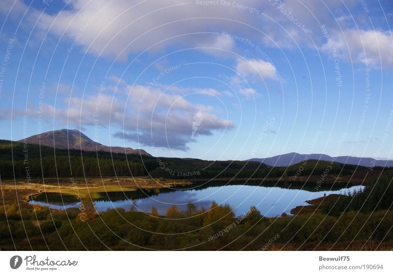 Fernweh pur Umwelt Natur Landschaft Pflanze Wasser Himmel Herbst Schönes Wetter Baum Gras Sträucher Farn Wald Hügel Berge u. Gebirge See ästhetisch schön