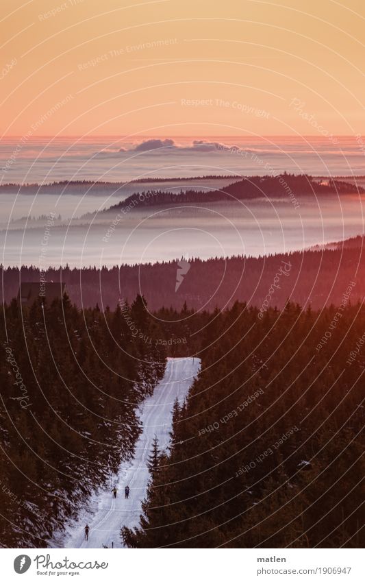 der lange Marsch Mensch 3 Umwelt Natur Landschaft Pflanze Himmel Wolken Horizont Sonnenaufgang Sonnenuntergang Winter Wetter Schönes Wetter Nebel Eis Frost