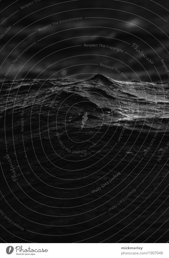 Dunkles Gewässer Ausflug Abenteuer Ferne Freiheit Segeln Umwelt Wasser Wetter schlechtes Wetter Unwetter Sturm Regen Wellen Küste Seeufer Flussufer Bewegung