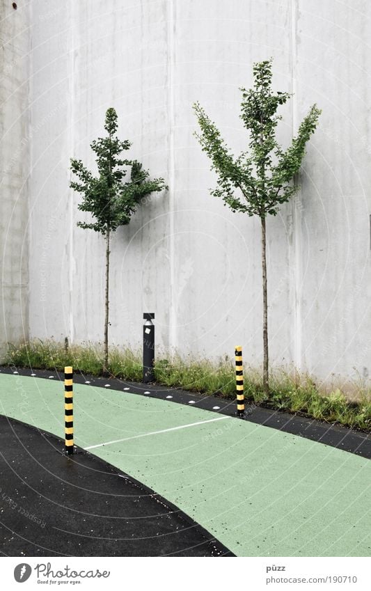 Rennbahn Baum Menschenleer Mauer Wand Beton Schilder & Markierungen Hinweisschild Warnschild ästhetisch grau grün Odysseum Laufbahn Warnsignal Farbfoto