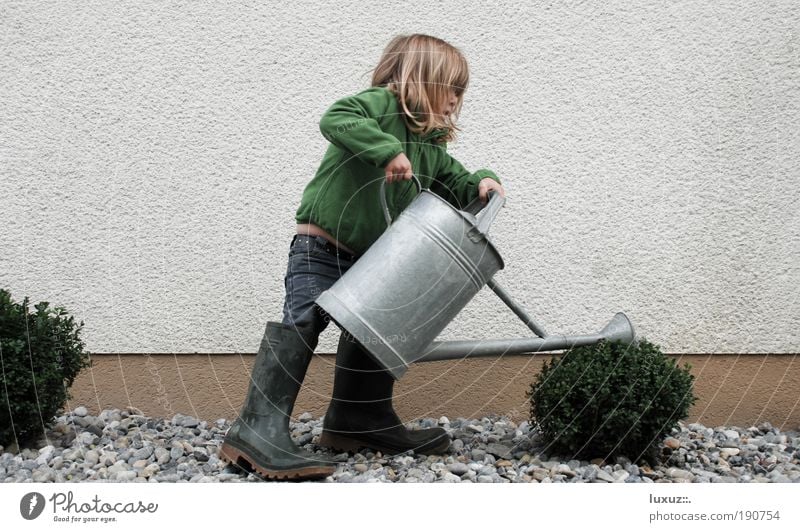 Wachstum Haus Garten lernen Gartenarbeit Kind Mädchen Klimawandel Pflanze Grünpflanze Wasser Kindheit Umwelt Umweltschutz Dienstleistungsgewerbe gießen Frühling