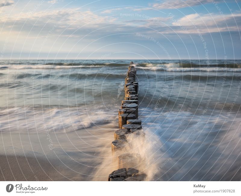 Vom Meer umspülte Buhnen ruhig Ferien & Urlaub & Reisen Freiheit Sommer Wellen Natur Landschaft Wasser Wolken Horizont Küste Ostsee blau Gewässer Deutschland