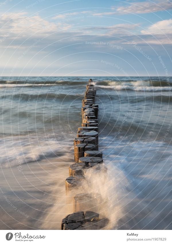 Wellen, Meer und Buhnen ruhig Sommer Natur Landschaft Wasser Wolken Horizont Küste Ostsee Flüssigkeit blau Ferne Gewässer Deutschland deutsch Reisen Reiseziel