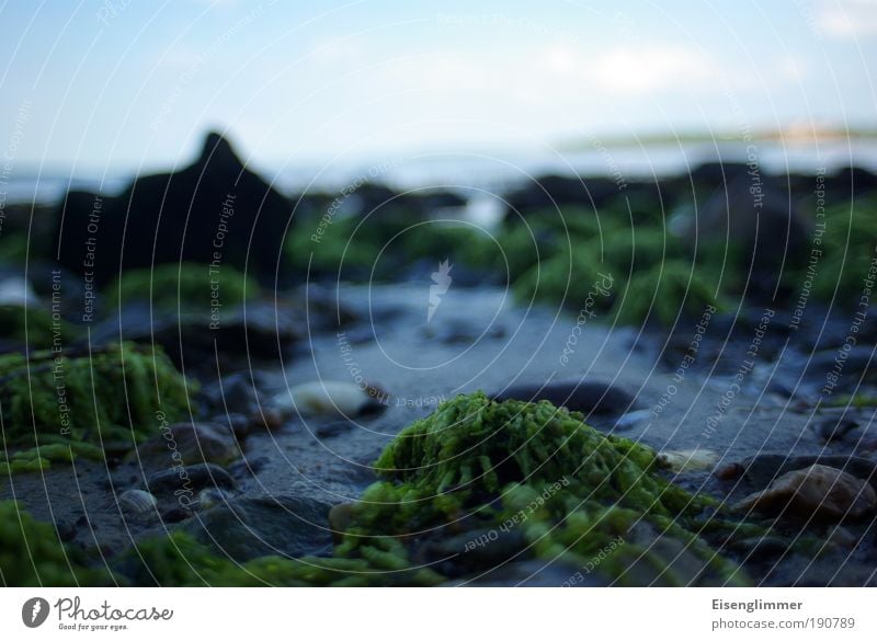 Kein schöner Strand Umwelt Natur Landschaft Pflanze Sand Wasser Himmel Wolken Sommer Schönes Wetter Küste Bucht Menschenleer Einsamkeit entdecken Horizont