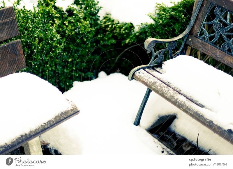 Warteschleife Winter Schnee Garten Möbel Sträucher Grünpflanze Bank Sehnsucht Einsamkeit Vergänglichkeit Außenaufnahme