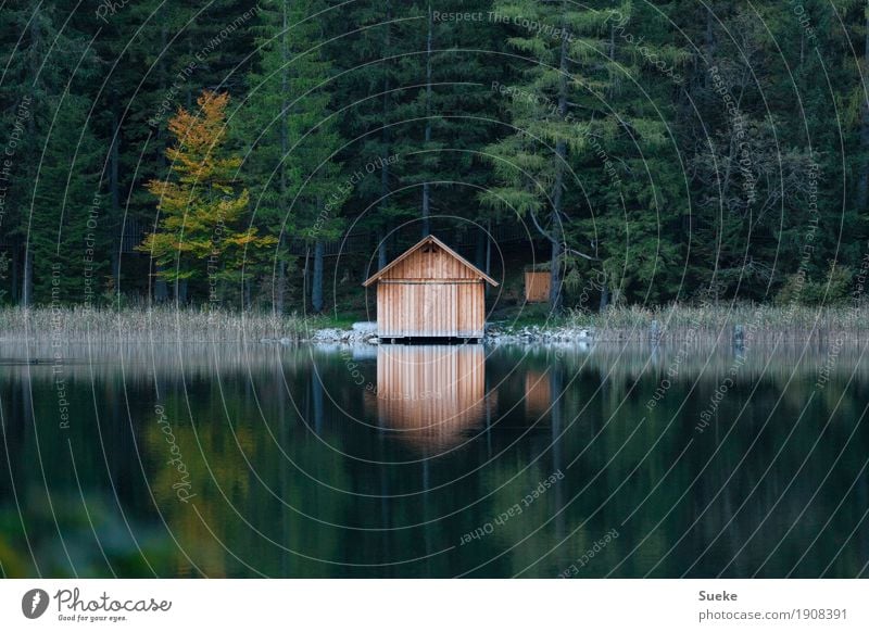 Lake Cabin Ausflug Berge u. Gebirge wandern Erholungsgebiet Holzhütte Natur Landschaft Wasser Herbst Schilf Wald Seeufer Leopoldsteiner See Gebirgssee träumen