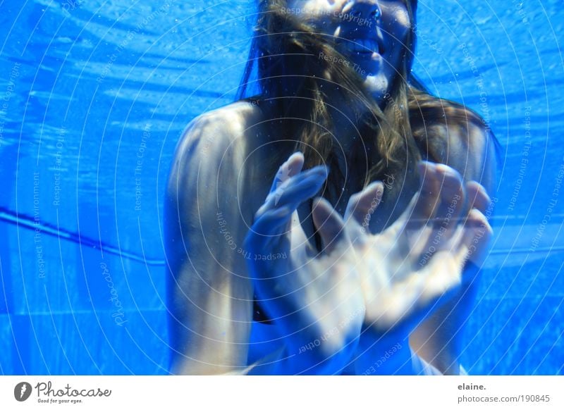 ich möchte die schönheit der unterwasserwelt zeigen. Freude Haut Wellness Freizeit & Hobby Sommer Schwimmbad feminin Junge Frau Jugendliche Haare & Frisuren