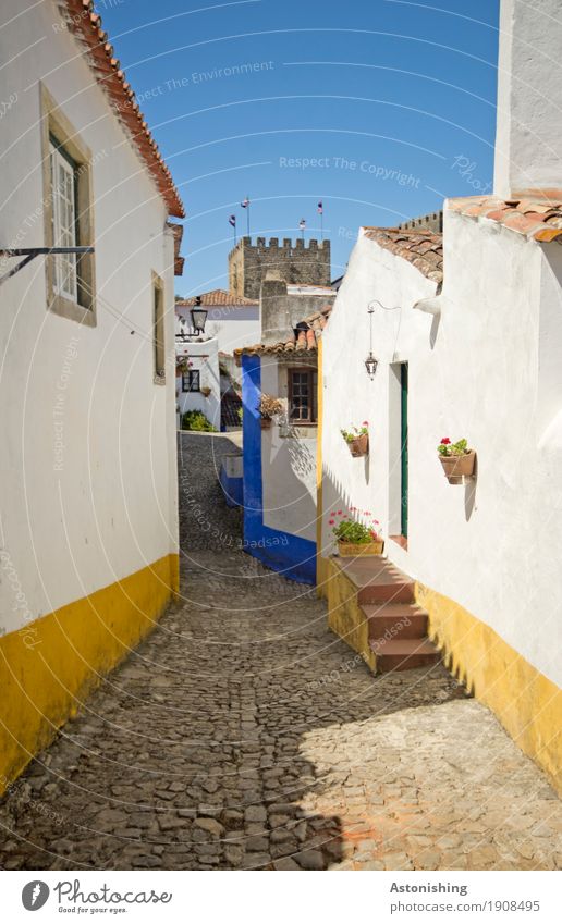 Obidos Natur Himmel Wolkenloser Himmel Pflanze Blume Portugal Kleinstadt Stadt Altstadt Haus Turm Bauwerk Gebäude Fassade Fenster Tür Dach Straße Stein alt blau