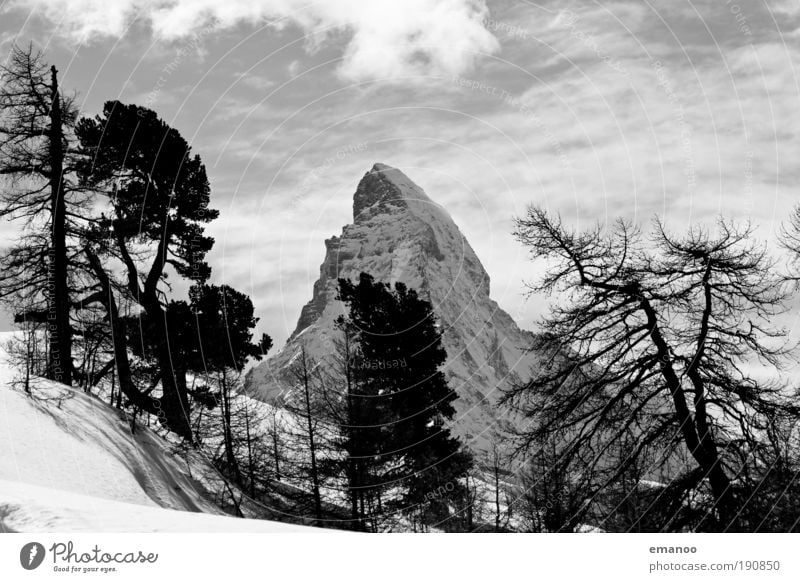 Matterhorn dahinter Winter Schnee Winterurlaub Berge u. Gebirge Snowboard Natur Landschaft Pflanze Klimawandel Baum Wald Verkehrsmittel Bahnfahren