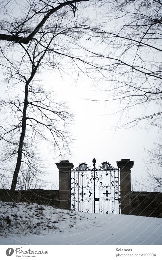 Tor zur Welt Winter Schnee Winterurlaub Umwelt Natur Landschaft Pflanze Erde Himmel Klima Klimawandel Eis Frost Baum Gras Sträucher Park Hügel frieren alt