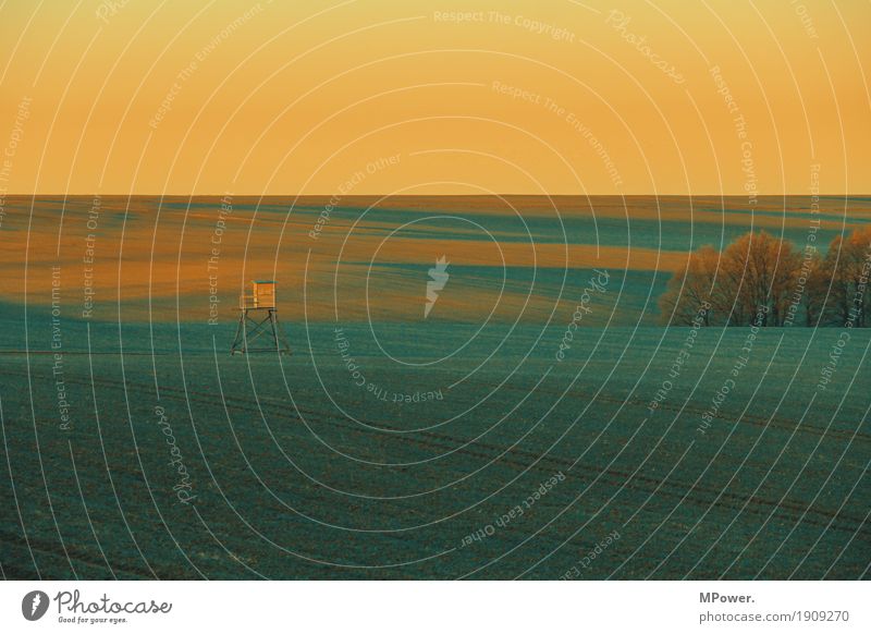 jägeridylle Umwelt Natur Landschaft Feld gelb gold grün Jäger Hochsitz Jagd Ackerbau Abendsonne Abenddämmerung Farbfoto Außenaufnahme