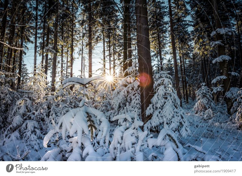 Nach dem Schnee Zufriedenheit Sinnesorgane ruhig Freizeit & Hobby Ferien & Urlaub & Reisen Tourismus Ausflug Winter Winterurlaub Berge u. Gebirge wandern Natur