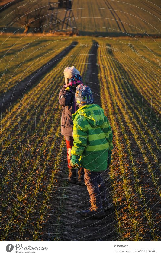 verstecker Mensch Kind Mädchen Junge Geschwister Familie & Verwandtschaft Kindheit 2 3-8 Jahre Umwelt Natur Landschaft Sonnenaufgang Sonnenuntergang Herbst