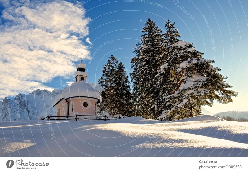 Transzendenz | göttliche Überhebung. Kapelle im Schnee Landschaft Pflanze Himmel Wolken Winter Schönes Wetter Baum Kiefer Tanne Alpen Berge u. Gebirge Kirche