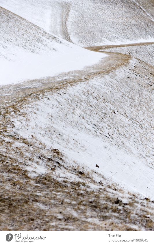 Alle Wege führen nach Rom Ausflug Winter Schnee Winterurlaub Berge u. Gebirge wandern Landschaft Eis Frost Schneefall Gras Wiese Hügel Alpen Italien Südtirol