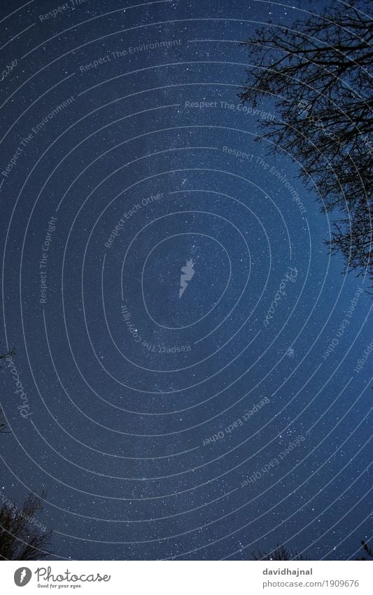 Nachthimmel Freizeit & Hobby Ferne Freiheit Winter Wissenschaften Umwelt Natur Urelemente Himmel Wolkenloser Himmel Stern Baum Menschenleer beobachten wandern